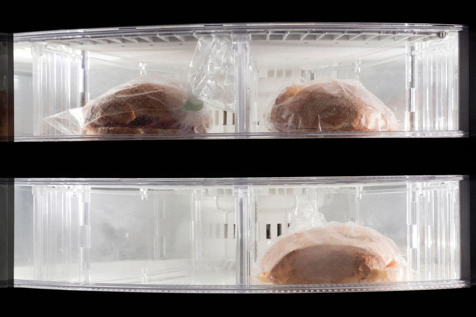 Marmita Congelada: Como Organizar o Congelador Para Nunca Faltar Comida Pronta