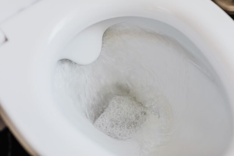 Vaso Sanitário Amarelado: 6 Truques Caseiros para Deixar Branco de Novo (Sem Gastar Caro)